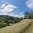 Terrain à vendre à Rionegro, Antioquia, Rionegro, Antioquia