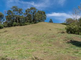 Terrain à vendre à Rionegro, Antioquia, Rionegro, Antioquia