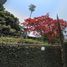 10 Bedroom House for sale in Cuautla, Morelos, Cuautla
