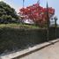 10 Habitación Villa en venta en Cuautla, Morelos, Cuautla, Morelos