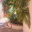 4 Bedroom House for sale in Campeche, Campeche, Campeche, Campeche