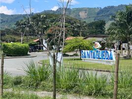  Terreno (Parcela) en alquiler en Manizales, Caldas, Manizales