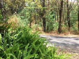  Land for sale in Villa De Cos, Zacatecas, Villa De Cos, Zacatecas