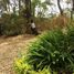  Land for sale in Villa De Cos, Zacatecas, Villa De Cos, Zacatecas
