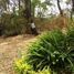  Land for sale in Villa De Cos, Zacatecas, Villa De Cos, Zacatecas