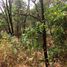  Land for sale in Villa De Cos, Zacatecas, Villa De Cos, Zacatecas