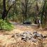  Land for sale in Villa De Cos, Zacatecas, Villa De Cos, Zacatecas