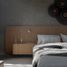 Villa 2 chambre à vendre à Allende, Guanajuato, Allende