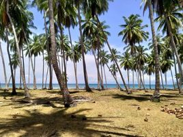  Terrain for sale in Palawan, Mimaropa, Puerto Princesa City, Palawan
