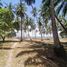  Terrain for sale in Palawan, Mimaropa, Puerto Princesa City, Palawan