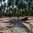  Terrain for sale in Palawan, Mimaropa, Puerto Princesa City, Palawan