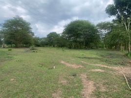  Land for sale in Pereira, Risaralda, Pereira