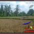  Land for sale in Ubud, Gianyar, Ubud