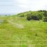  Land for sale in Pedernales, Manabi, Cojimies, Pedernales