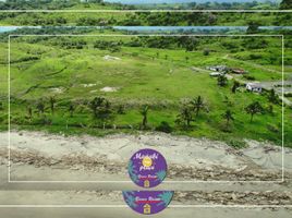  Terreno (Parcela) en venta en Pedernales, Manabi, Cojimies, Pedernales