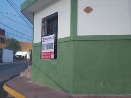 3 Schlafzimmer Haus zu verkaufen in Tizimin, Yucatan, Tizimin