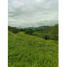 Studio Villa for sale in La Tebaida, Quindio, La Tebaida