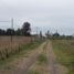  Land for sale in Avellaneda, Rio Negro, Avellaneda