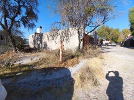  Grundstück zu verkaufen in Allende, Guanajuato, Allende