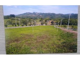  Land for sale in Risaralda, Caldas, Risaralda