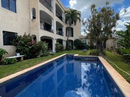 Appartement 1 chambre à louer à Merida, Yucatan, Merida