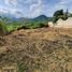 Land for sale in Tlayacapan, Morelos, Tlayacapan