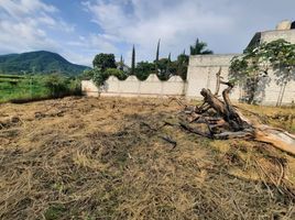  Land for sale in Tlayacapan, Morelos, Tlayacapan