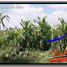  Land for sale in Ubud, Gianyar, Ubud