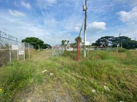  Terreno (Parcela) en venta en Daule, Guayas, Daule, Daule