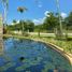  Terreno (Parcela) en venta en Merida, Yucatán, Merida, Yucatán