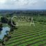 Terrain à vendre à Tuxpan, Veracruz, Tuxpan, Veracruz