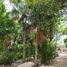 2 Bedroom Quinta for sale in Valladolid, Yucatan, Valladolid