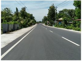  Land for sale in Pengasih, Kulon Progo, Pengasih