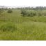  Land for sale in Filandia, Quindio, Filandia