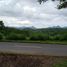  Land for sale in Purwodadi, East Jawa, Purwodadi, Pasuruan