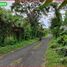  Land for sale in Selemadeg, Tabanan, Selemadeg