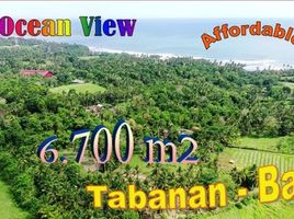  Land for sale in Selemadeg, Tabanan, Selemadeg