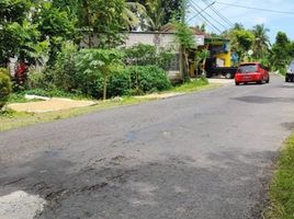  Land for sale in Pengasih, Kulon Progo, Pengasih