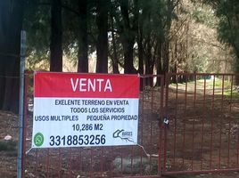  Land for sale in Zapopan, Jalisco, Zapopan, Jalisco