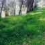  Land for sale in Banos, Azuay, Banos