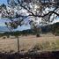  Land for sale in Arteaga, Coahuila, Arteaga