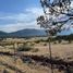  Land for sale in Arteaga, Coahuila, Arteaga