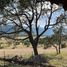  Land for sale in Arteaga, Coahuila, Arteaga