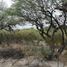  Land for sale in Moctezuma, San Luis Potosi, Moctezuma, San Luis Potosi