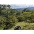  Land for sale in Salento, Quindio, Salento