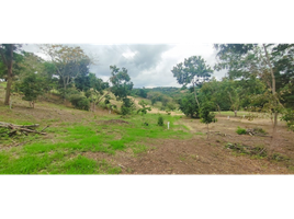  Land for sale in La Mesa, Cundinamarca, La Mesa