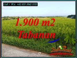  Land for sale in Selemadeg, Tabanan, Selemadeg