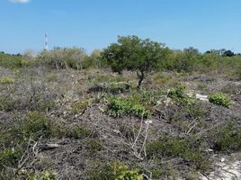  Grundstück zu verkaufen in Ixil, Yucatan, Ixil