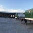 Grundstück zu vermieten in Torreon, Coahuila, Torreon