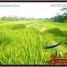  Terrain for sale in Tegallalang, Gianyar, Tegallalang